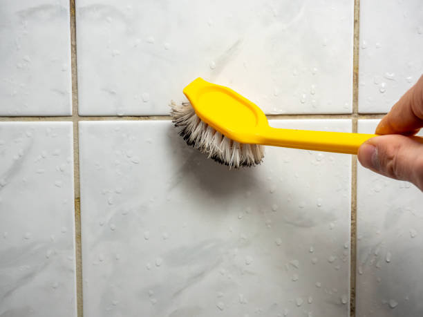 Best Commercial Mold Removal  in Arma, KS