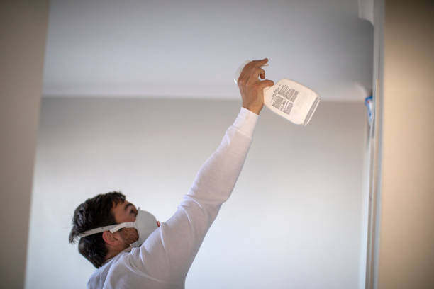 Best Local Mold Removal Service  in Arma, KS
