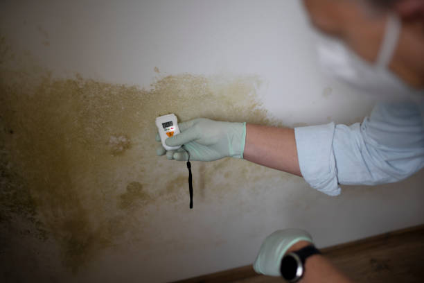 Best Residential Mold Removal  in Arma, KS
