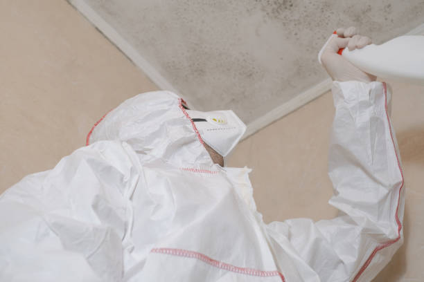 Best Toxic Mold Removal  in Arma, KS